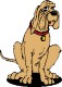 Animales